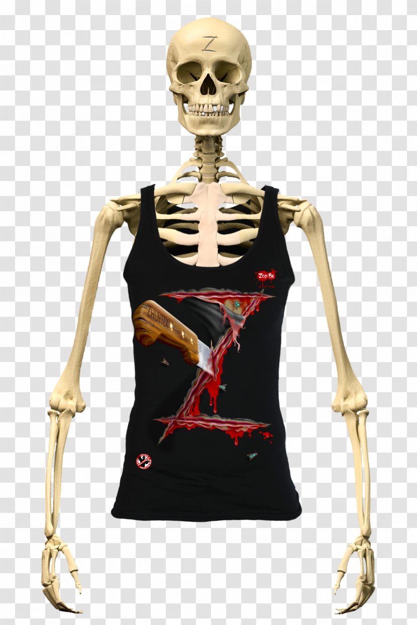 Human Skeleton Body Bone Anatomy - Silhouette Transparent PNG