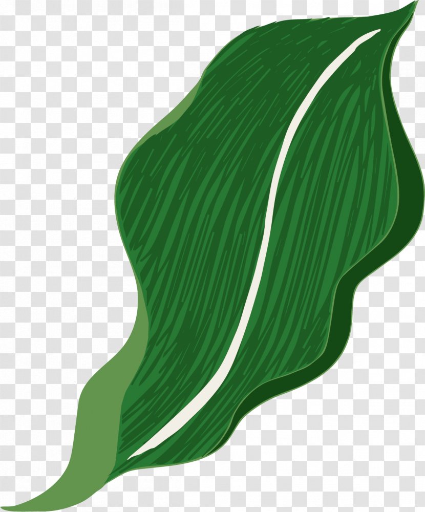 Leaf Green Designer - Google Images - Hand Painted Leaves Transparent PNG