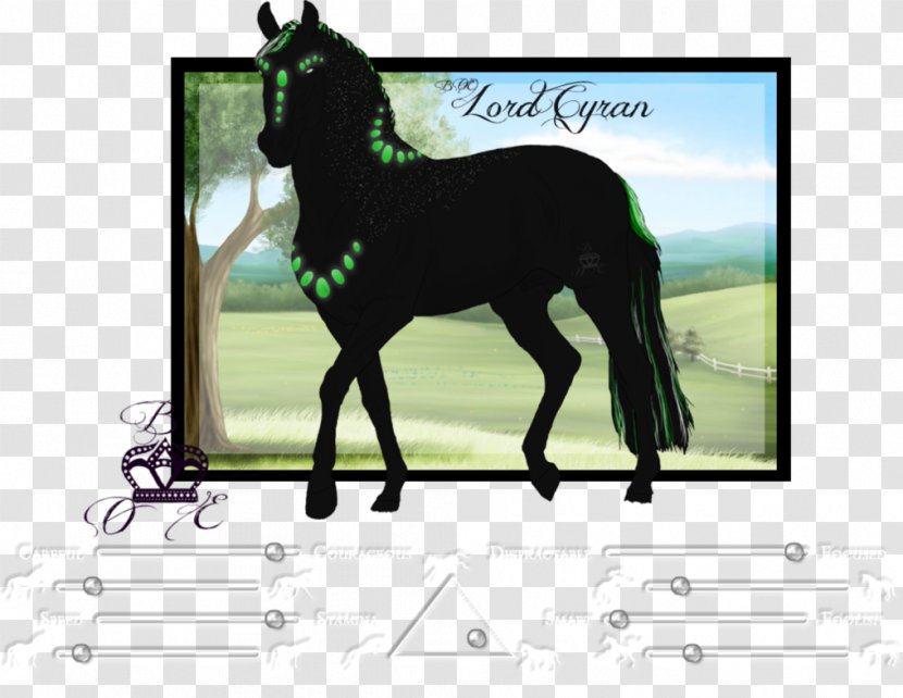 Stallion Mustang Foal Mare Colt Transparent PNG