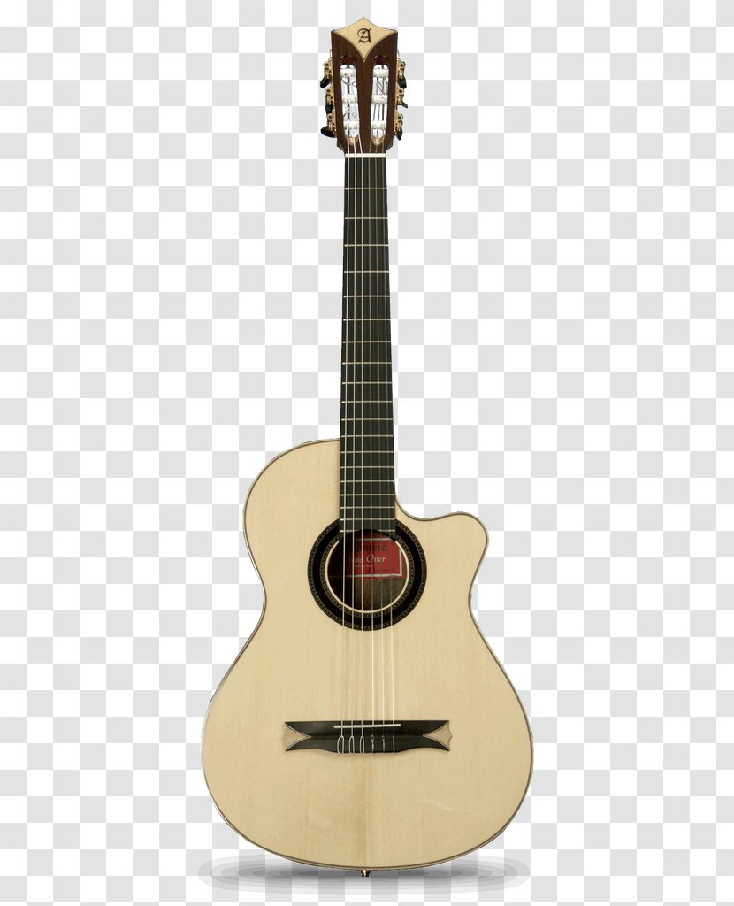 Acoustic Guitar Maton Acoustic-electric Ovation Company - Frame Transparent PNG