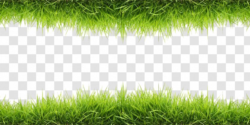 Wallpaper - Web Page - Grass Transparent PNG