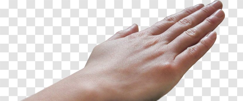 Biometrics Thumb Fingerprint Technology Hand - Iris - Hands Touching Transparent PNG