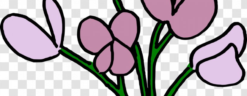 Watercolour Flowers Tulip Flowering Plant Clip Art - Sweet Pea Transparent PNG