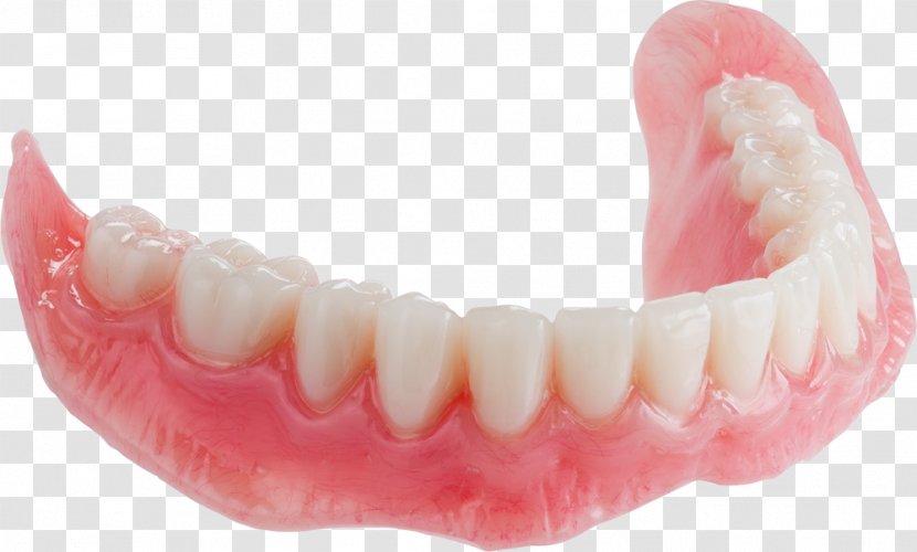 Tooth Dentures Mandible Dental Arch Paper Mill - Lower Transparent PNG