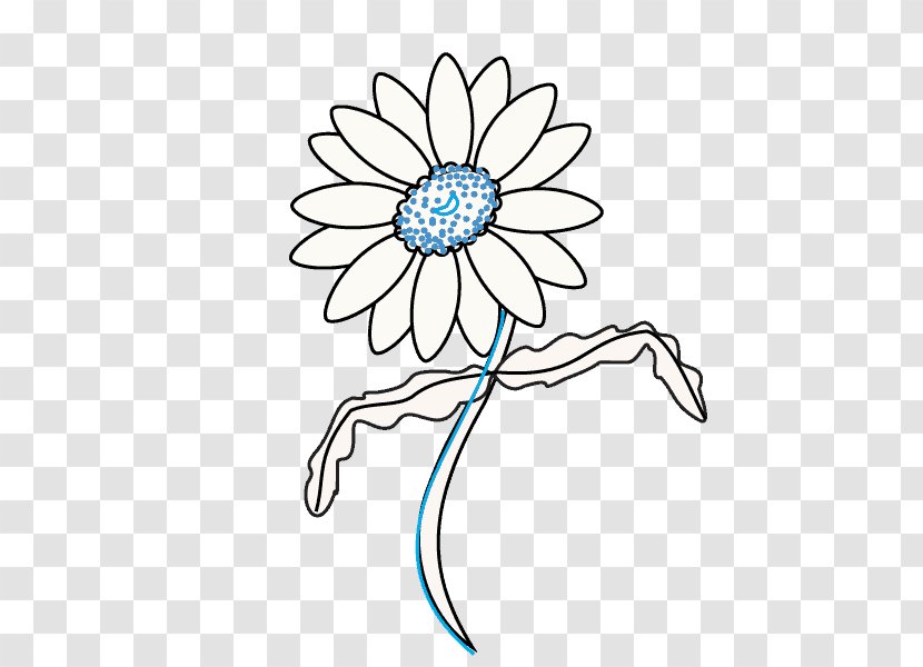 Common Daisy Floral Design Flowers Drawing - Flowering Plant Transparent PNG