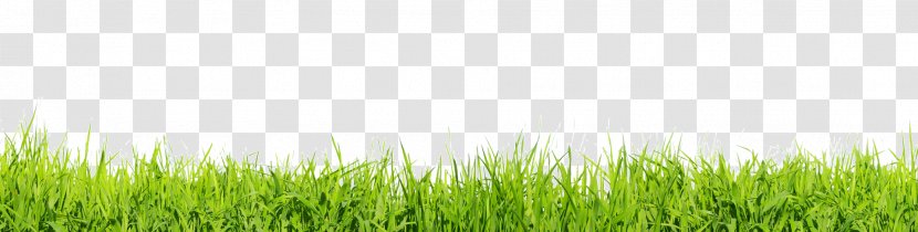 Lawn Desktop Wallpaper Stock Photography Clip Art - Sky - Grass Flat Transparent PNG