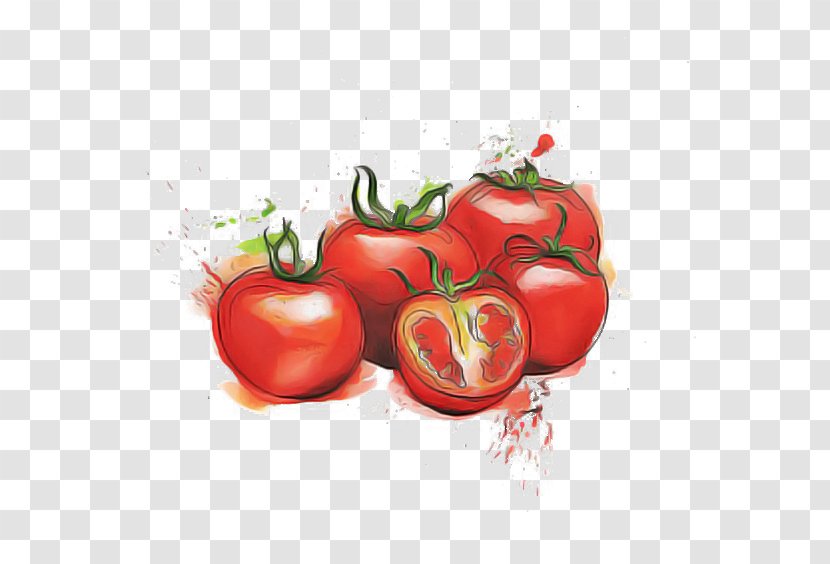 Tomato - Food - Bush Transparent PNG