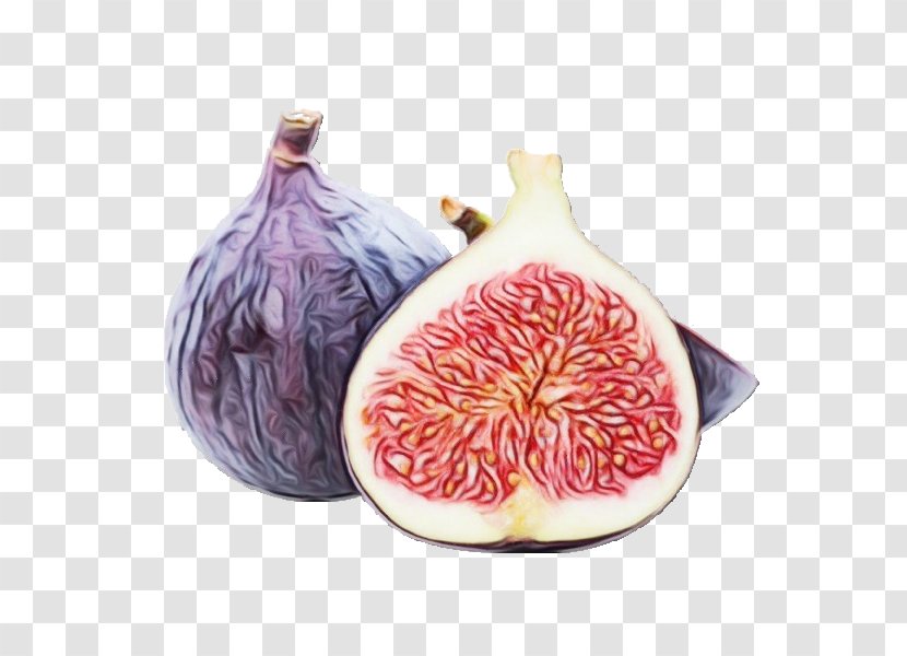 Common Fig Pink Fruit Plant Food - Ceramic - Magenta Transparent PNG