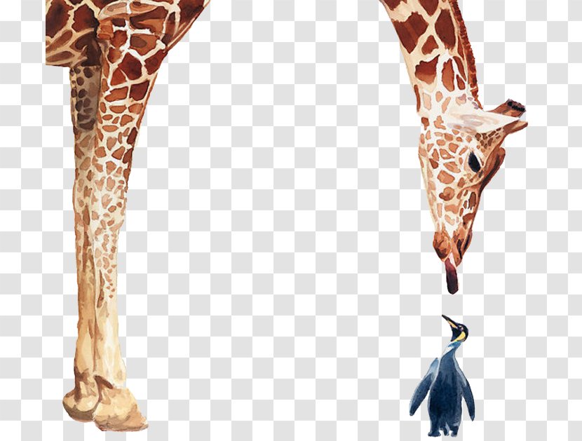 Penguin Giraffe Bird Poster Watercolor Painting - Giraffidae - Giraffes And Penguins Realistic Transparent PNG