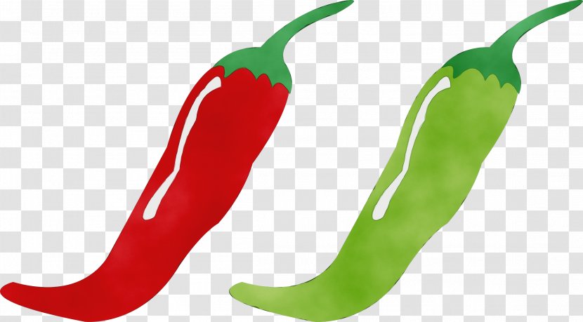 Chili Pepper Malagueta Tabasco Serrano Bell Peppers And - Cayenne Plant Transparent PNG