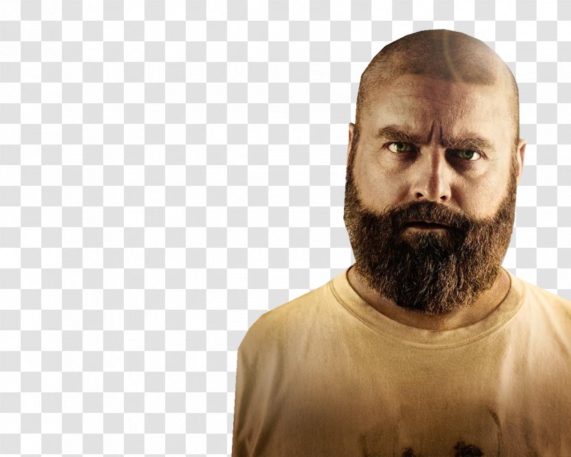 Zach Galifianakis The Hangover Alan Stu Film - Watercolor - Flower Transparent PNG