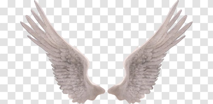 Guardian Angel Drawing Painting - Wing Transparent PNG