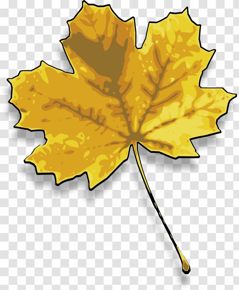 Red Maple Sugar Leaf Clip Art - Tree Transparent PNG