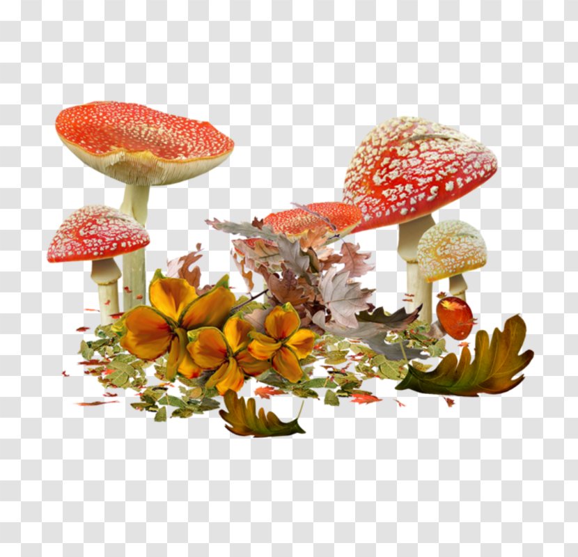 Mushroom Fungus Clip Art - Ingredient - Champignon Transparent PNG