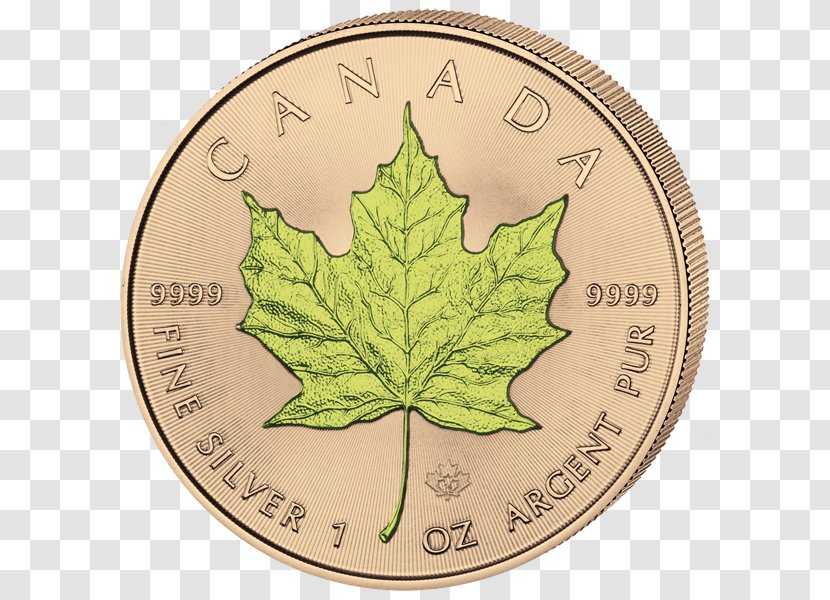 Canada Canadian Gold Maple Leaf Silver - Ounce Transparent PNG