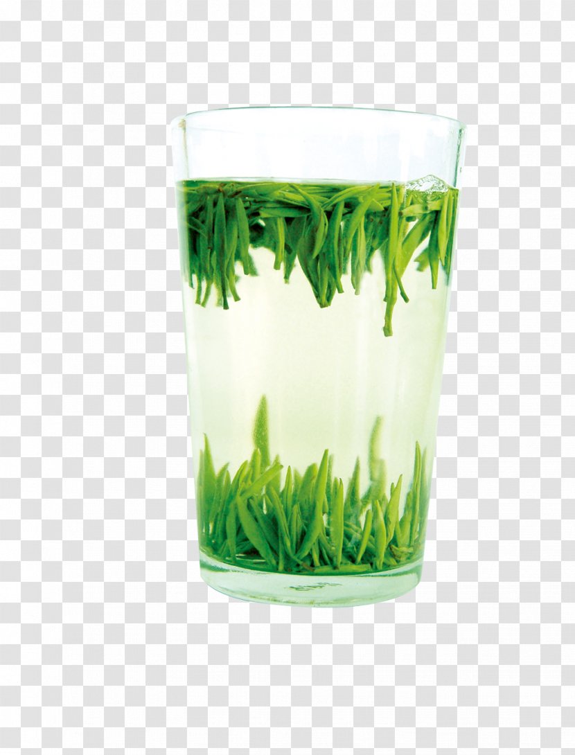 Green Tea White Transparent PNG