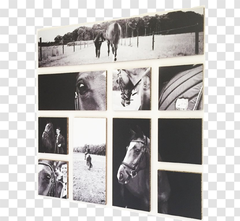 Paper Photo Albums Art Graphic Design - Photography - Collage Transparent PNG