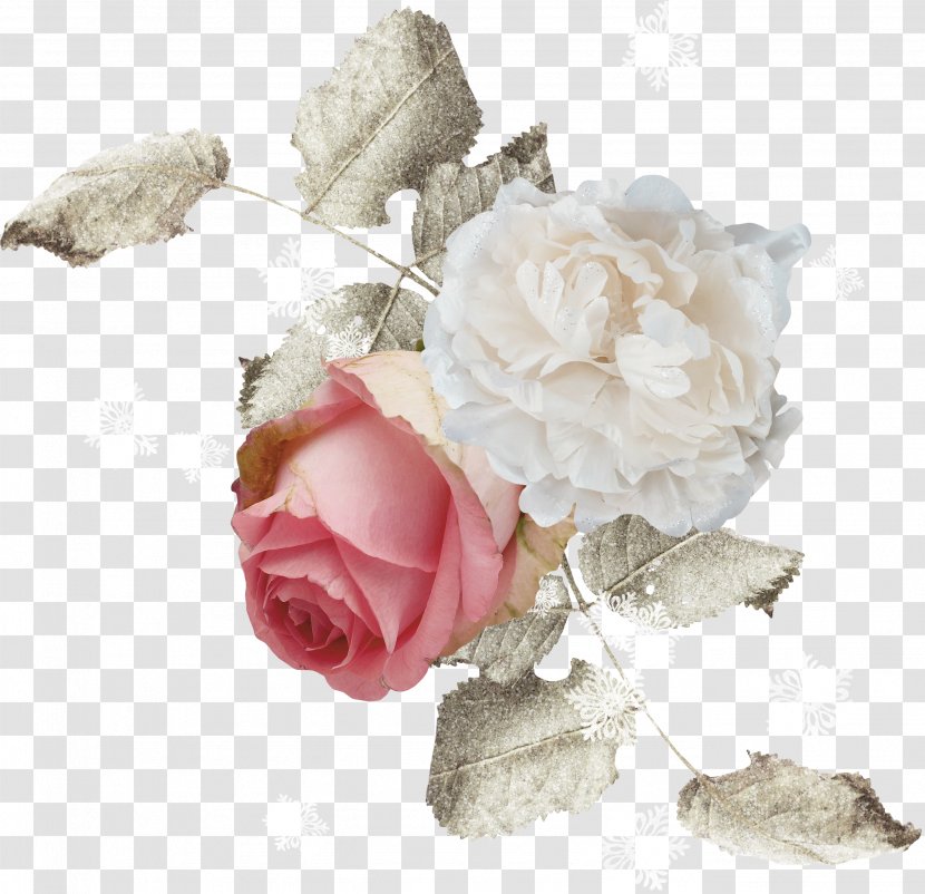 Flower White Clip Art - Garden Roses - Bonbones Transparent PNG