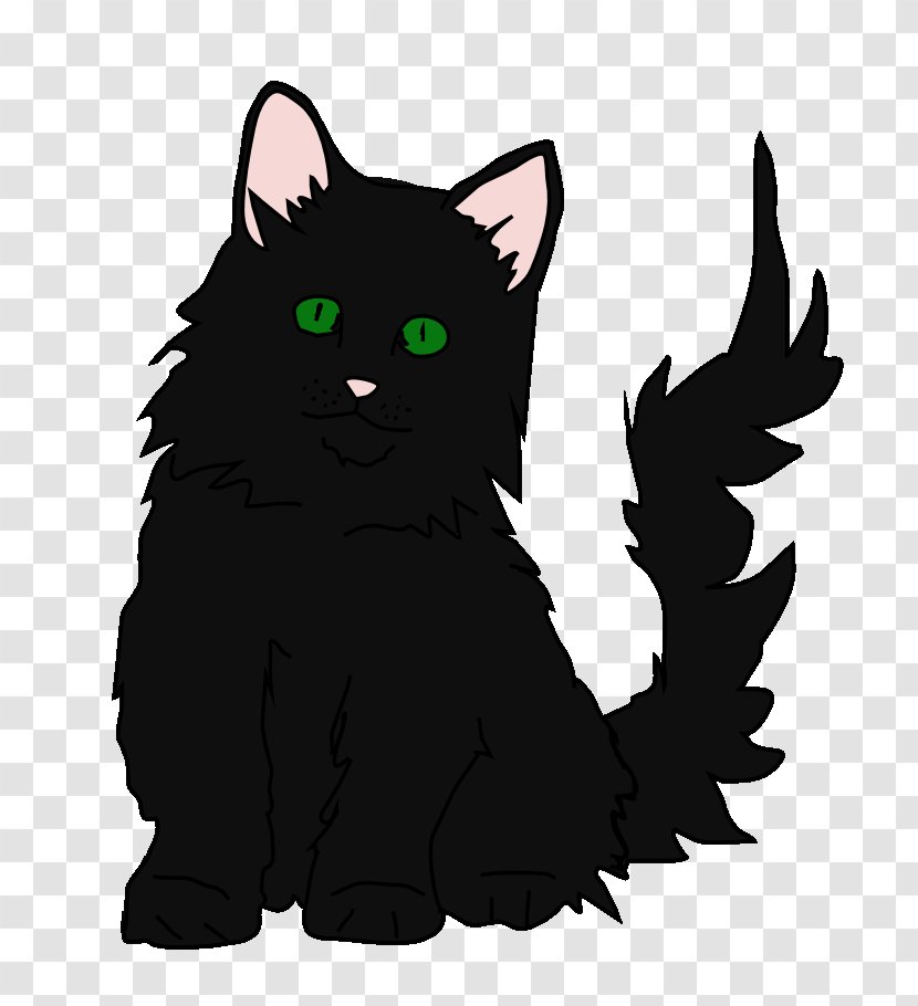 Black Cat Kitten Whiskers Domestic Short-haired - M Transparent PNG
