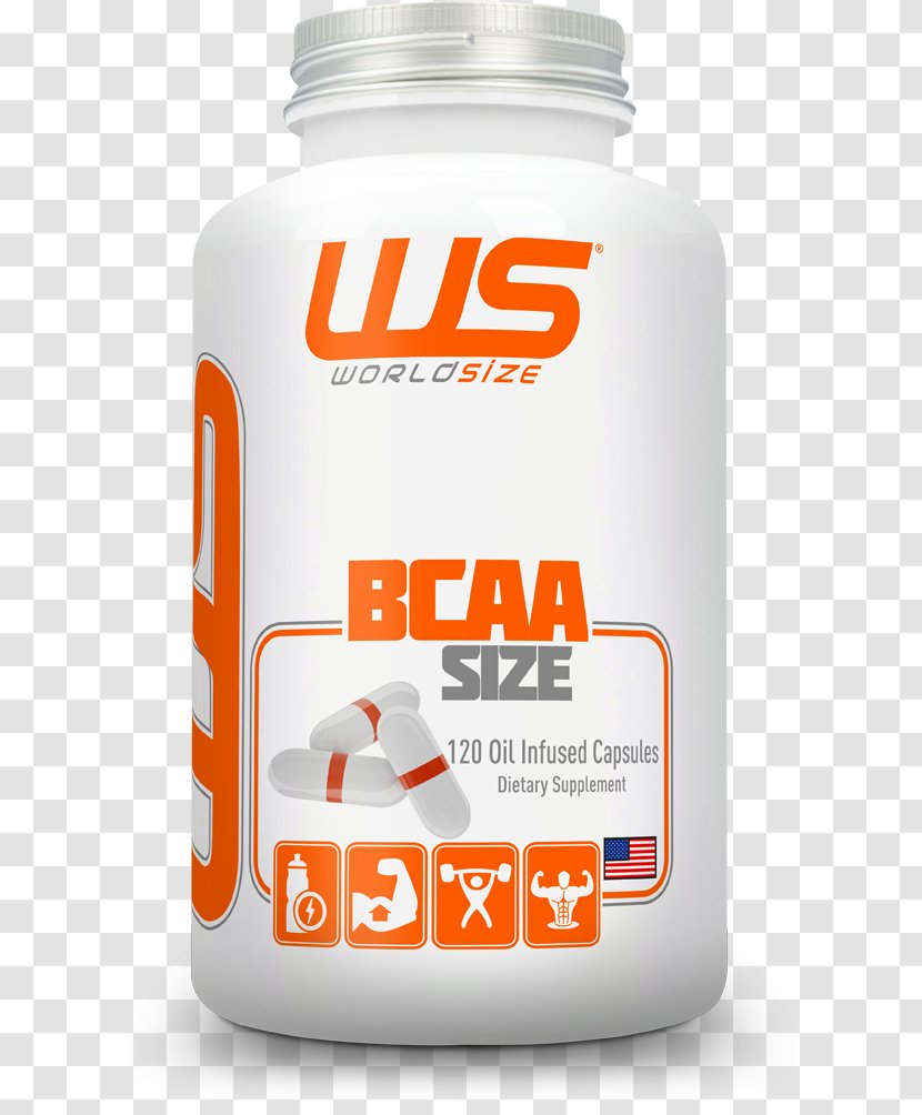 Dietary Supplement Branched-chain Amino Acid Whey Protein Capsule - Essential - Bcaa Transparent PNG