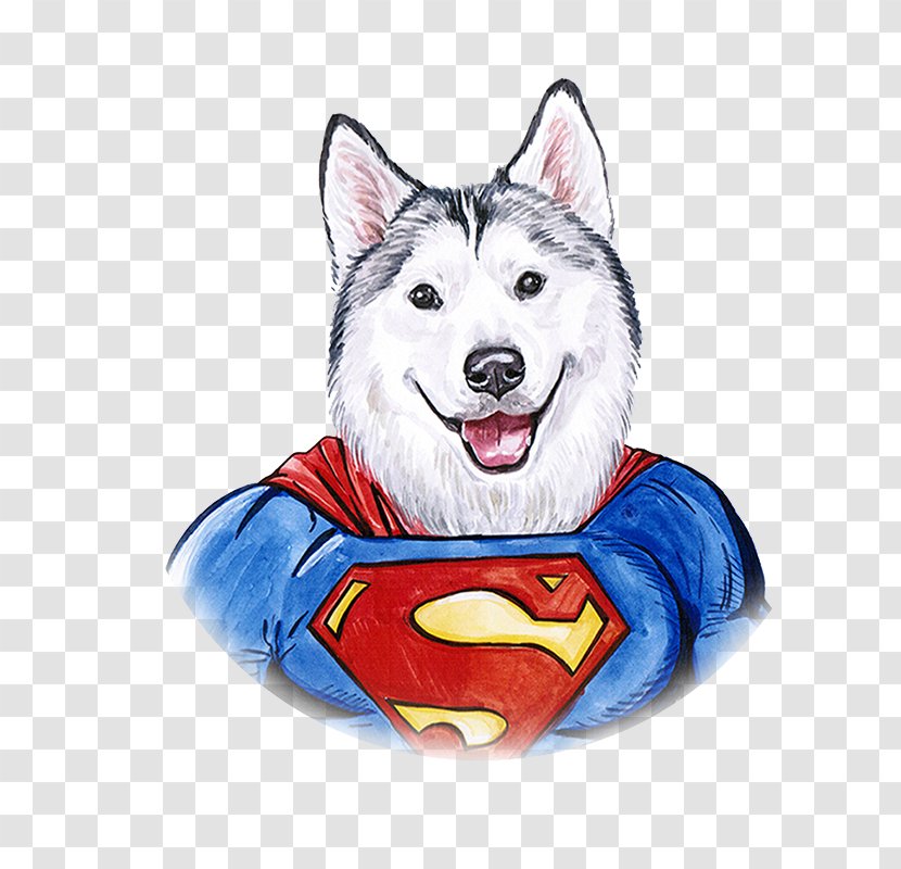 Siberian Husky Sakhalin Clark Kent Watercolor Painting Illustration - Hand Painted Dog Superman Transparent PNG