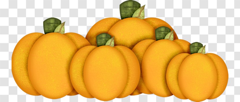Pumpkin Halloween Jack-o-lantern Fruit - Cucurbita Transparent PNG