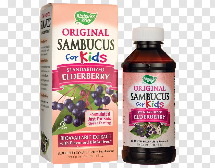 Elderberry Flavor Nature Extract Ounce - Child - Elderberries Transparent PNG