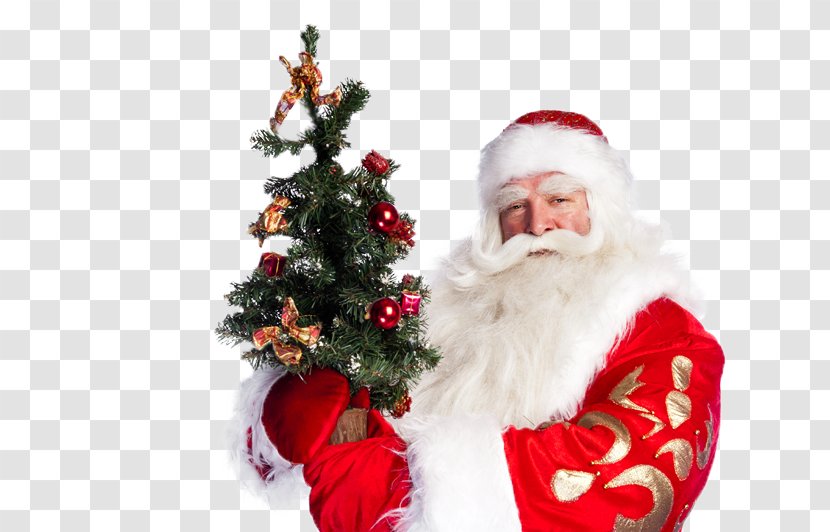 Christmas Tree Santa Claus Ornament Fir Transparent PNG