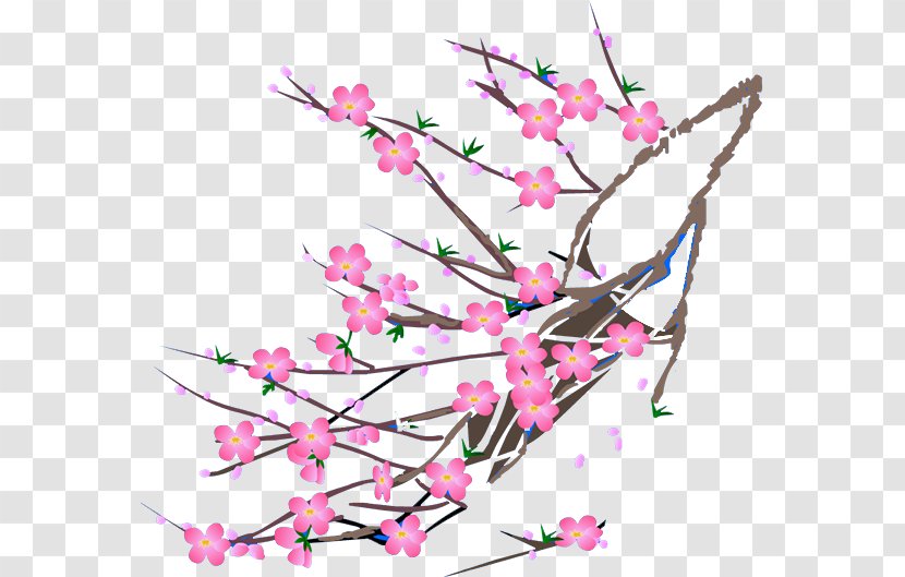 Cherry Blossom Text Illustration - Branch - Plum Flower Transparent PNG