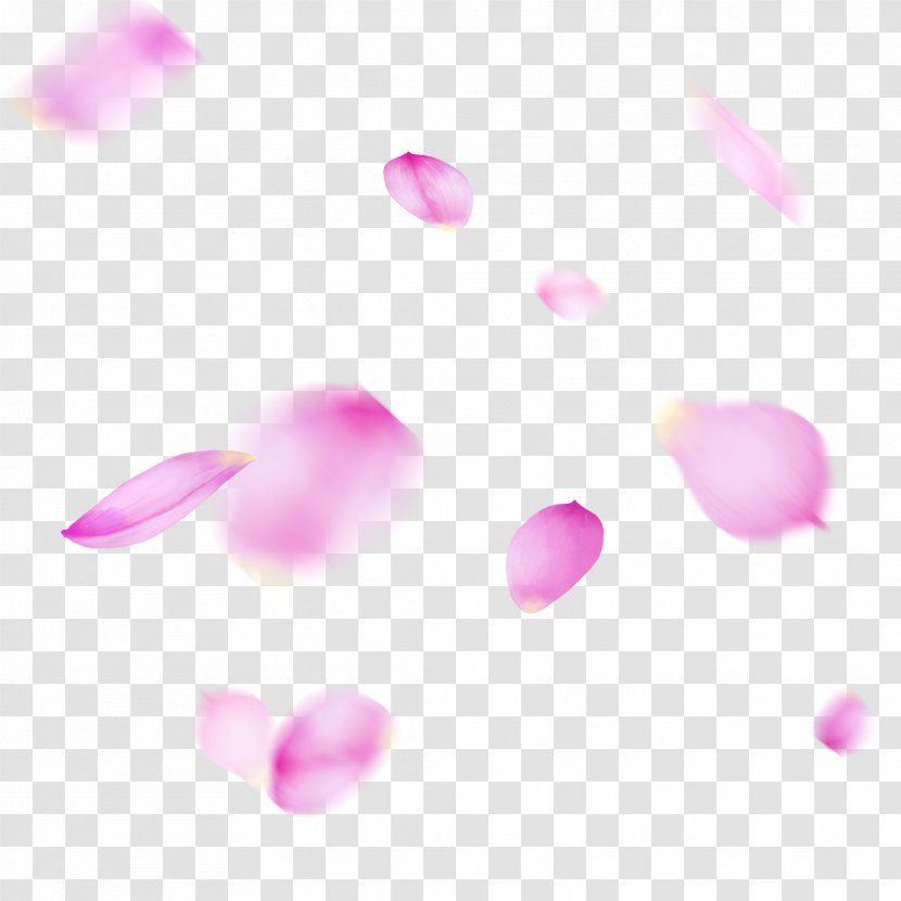 Pink Petal Violet Magenta Heart - Flower Plant Transparent PNG