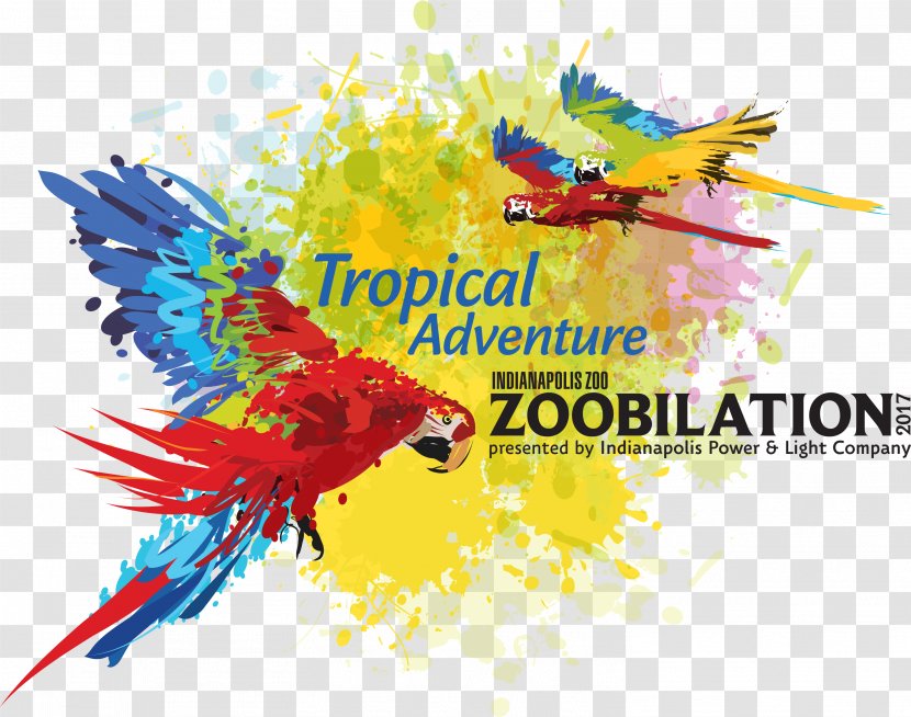 Indianapolis Zoo Macaw Zoobilation - Drawing - Lucas Oil Raceway At Transparent PNG