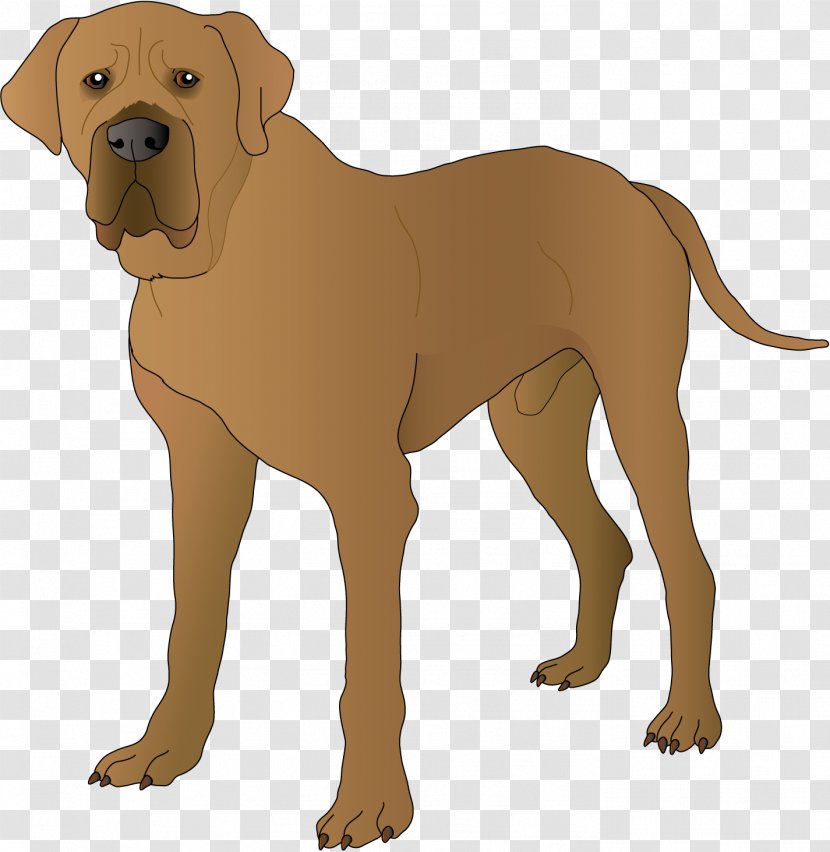 English Mastiff Boerboel Bullmastiff Red Line Group Fortune-telling - Dog Crossbreeds Transparent PNG