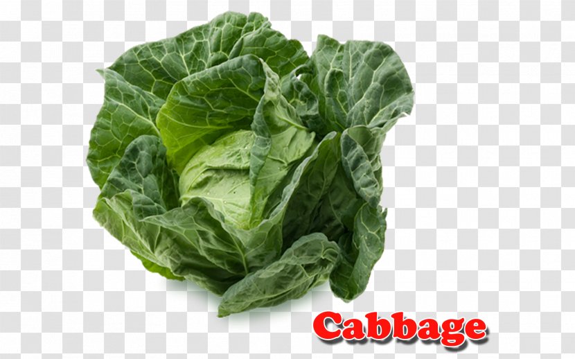Spinach Cabbage Vegetarian Cuisine Vegetable Collard Greens Transparent PNG