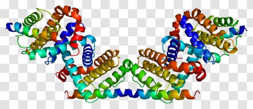 BECN1 Protein Phosphoinositide 3-kinase Bcl-2 Gene - Silhouette - Mito Class Transparent PNG