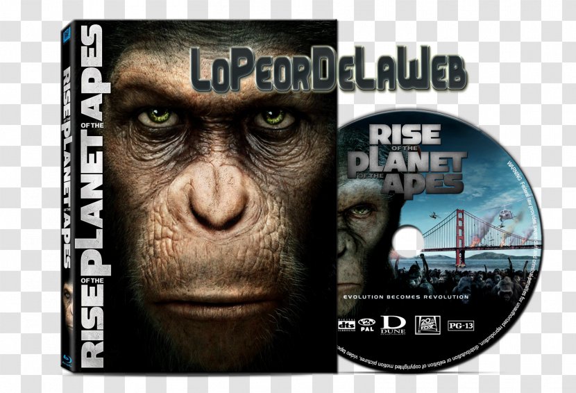 Caesar Film Blu-ray Disc Planet Of The Apes El Planeta De Los Simios - Andy Serkis Transparent PNG