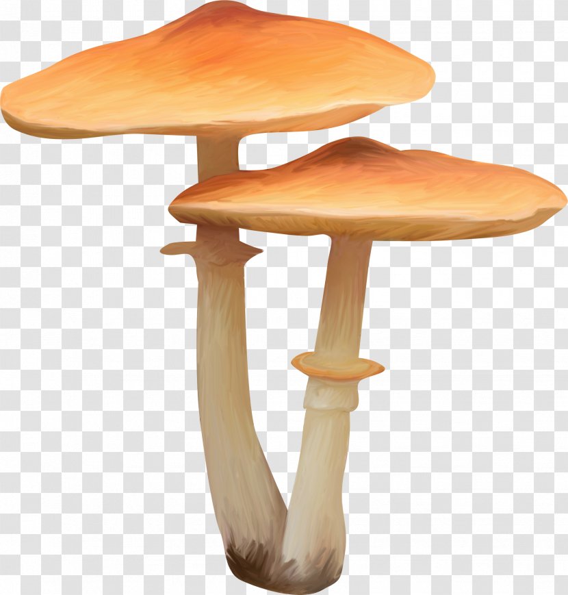 Mushroom - Furniture - Orange Transparent PNG
