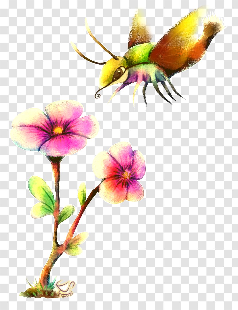 Honey Bee Petal Flower Plant Stem - Moths And Butterflies Transparent PNG