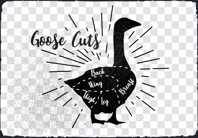 Duck Goose Water Bird Drawing - Cartoon Transparent PNG