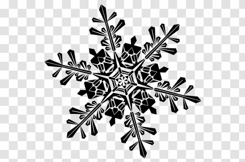 Snowflake Image File Formats Transparent PNG