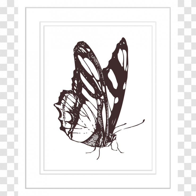 Butterfly Drawing Clip Art - Invertebrate Transparent PNG