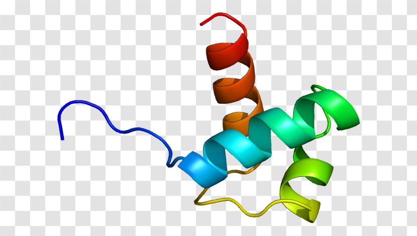 TERF1 PINX1 Chromosome 8 Telomerase Telomeric Repeat Binding Factor (NIMA-interacting) 1 - Cartoon - Flower Transparent PNG