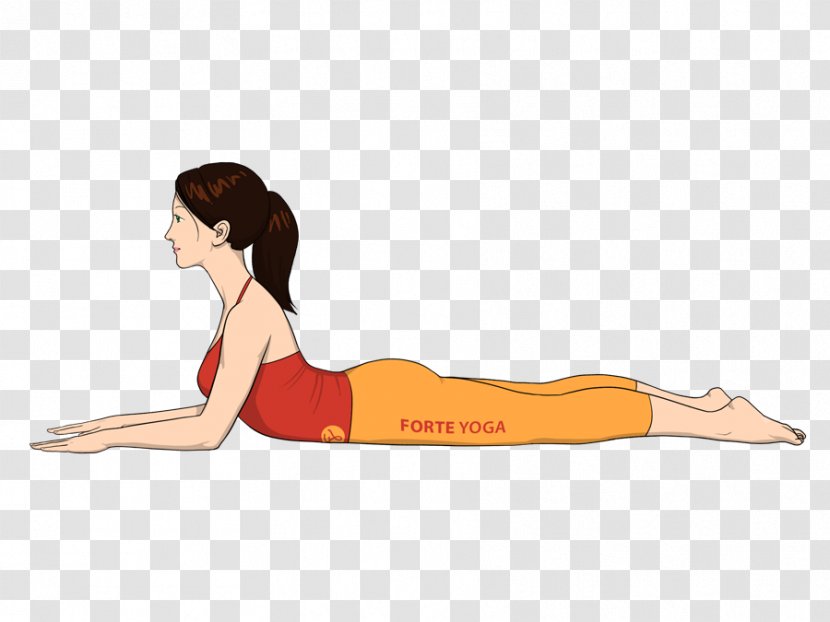 Yoga Bhujangasana Salabhasana Exercise - Silhouette - Dogs Transparent PNG