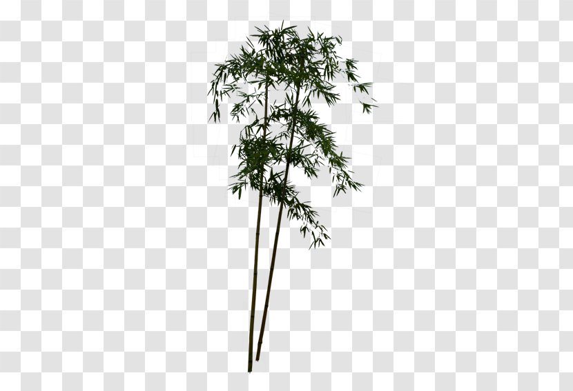 Bamboo Download Pixel - Flowerpot Transparent PNG