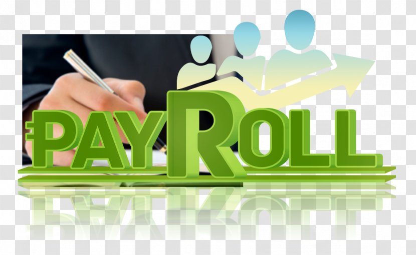 Payroll Outsourcing Business Human Resource Management - Salary Transparent PNG