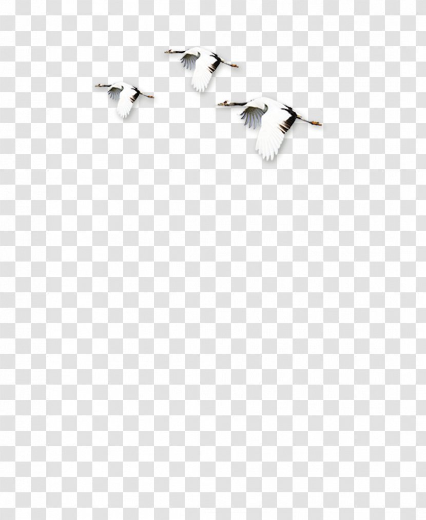 White Black Angle Pattern - Chinese Ink Painting Style, Birds, Crane, Fly Transparent PNG