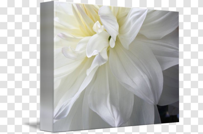 Floral Design Gallery Wrap Art Canvas - Flower Arranging Transparent PNG