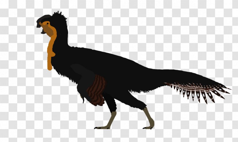 Huanansaurus DeviantArt Tyrannotitan Drawing - Beak - Barosaurus Transparent PNG