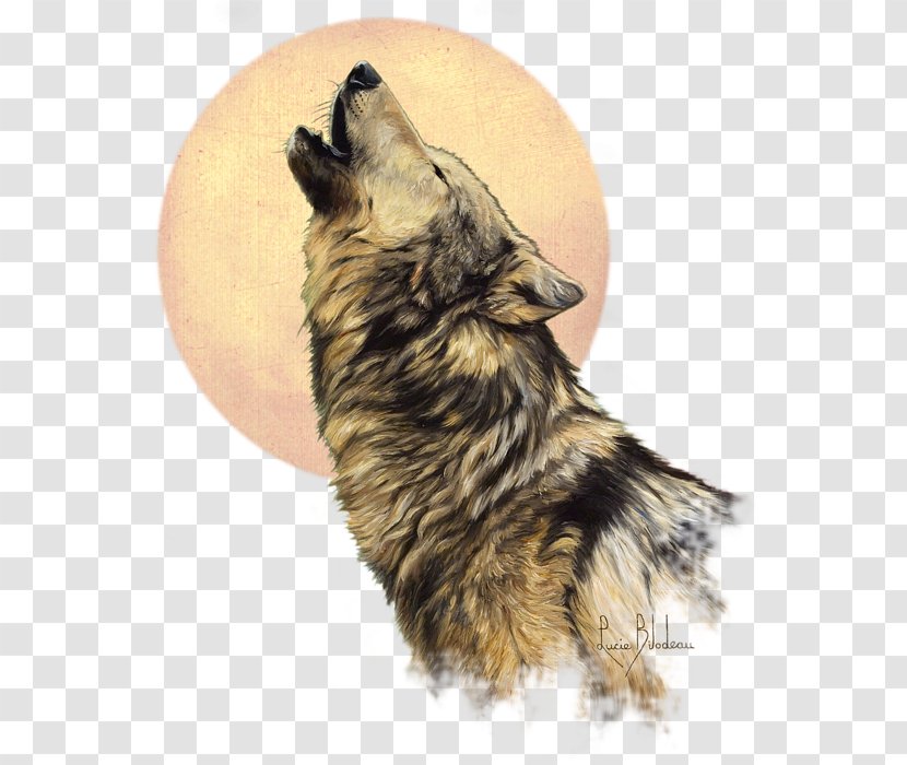 The Call Of Wild United States Painting Drawing Dog - Paint Transparent PNG