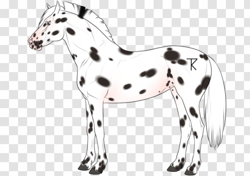 Pony Mustang Stallion Colt Mare - Mane Transparent PNG