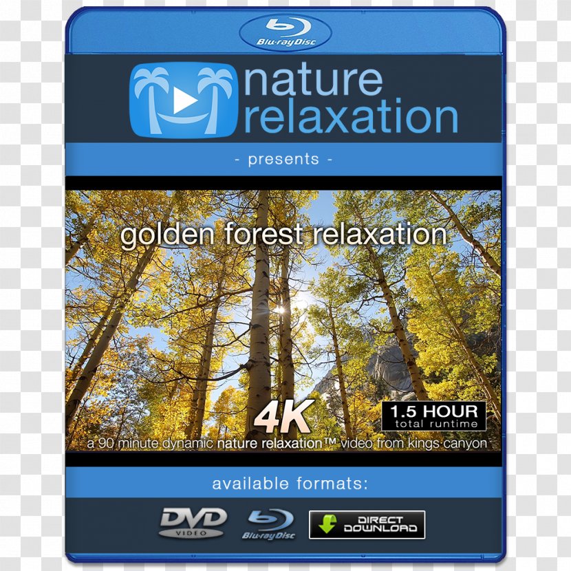 4K Resolution 1080p High-definition Video Television Display - Flower - Forest Scenes Transparent PNG